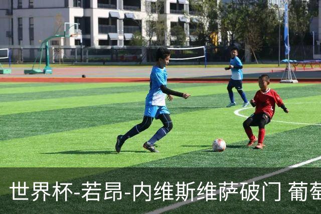 世界杯-若昂-内维斯维萨破门 葡萄牙半场暂1-1民主刚果