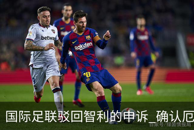 国际足联驳回智利的申诉 确认厄瓜多尔参加世界杯