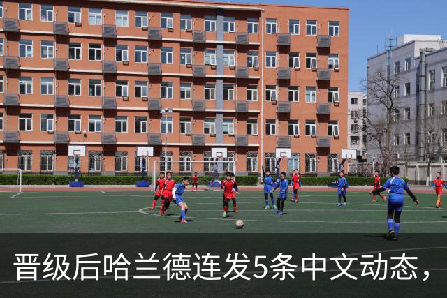 晋级后哈兰德连发5条中文动态，配乐尤爱伍佰《挪威的森林》