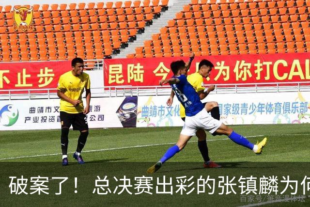 破案了！总决赛出彩的张镇麟为何无缘21人名单？名记道出2原因