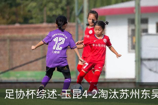 足协杯综述-玉昆4-2淘汰苏州东吴16强全部出炉中超13队晋级
